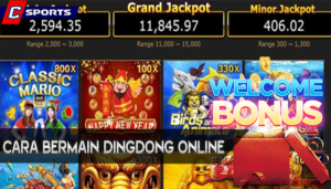 dingdong online